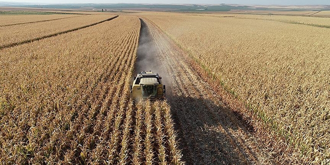 Gelecek yıl tarıma 16,1 milyar liralık destek