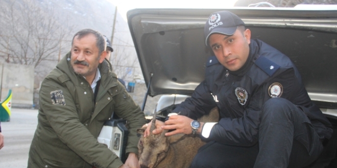Yaral� da� ke�isine ilk m�dahaleyi polis yapt�