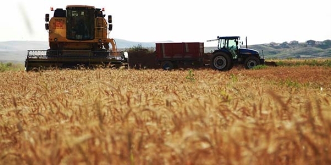 'Bu�day ekim alan� 7,5 milyon hektara d��t�'