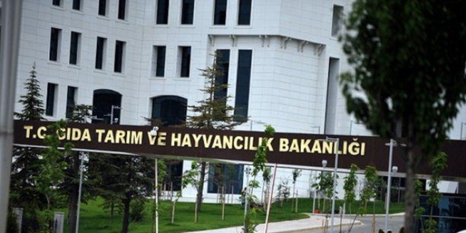At Yarışları Yönetmeliğinde Değişiklik