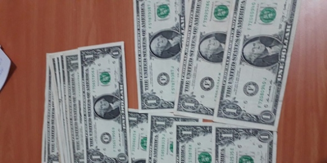 'FETÖ'nün hücre evleri'den 'F' serisi dolar çıktı