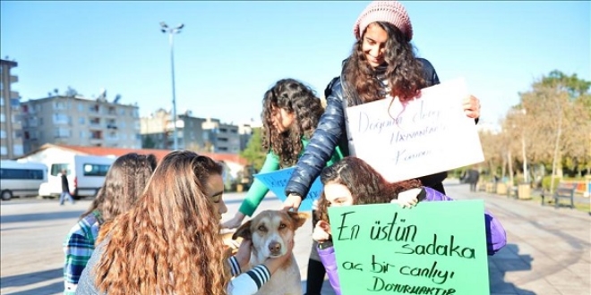 Öğrencilerden sokak hayvanlarına sıcak yuva ve mama