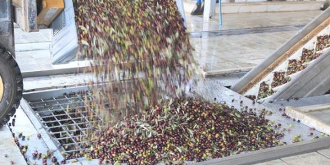 'Turizm cenneti'nin yeşil altını yağa dönüşüyor