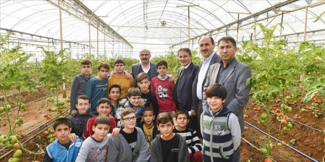 Barnma merkezindeki Suriyeliler sebze yetitiriyor