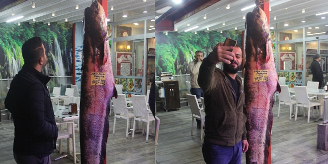 K�z�l�rmak'ta 103 kilograml�k yay�n bal��� yakaland�