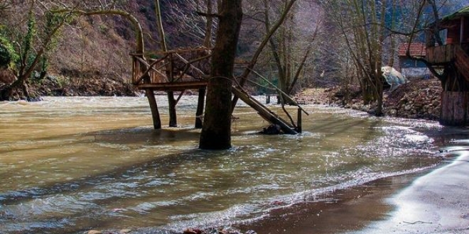 Melen �ay�'na flor d�k�ld��� iddias�