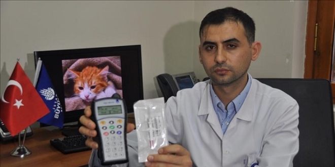 Sokak hayvanları 'mikro çip' ile kayıt altına alınıyor
