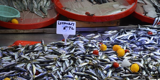 İstavritin kilogramı 5 liraya kadar geriledi