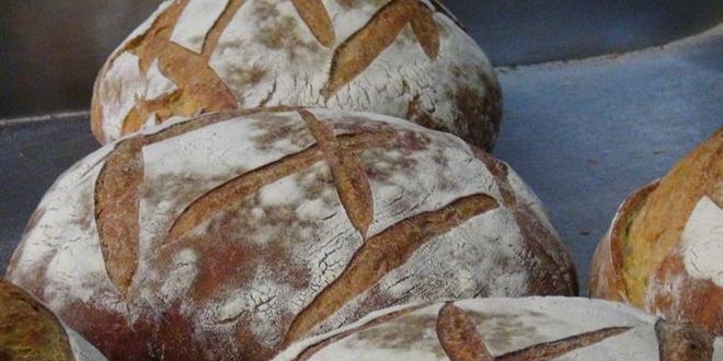200 yllk mayadan geleneksel ekmek retiliyor!
