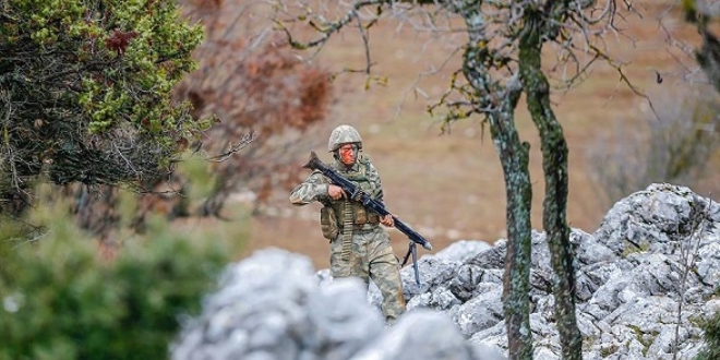 Suriye sınırında bir terörist yakalandı