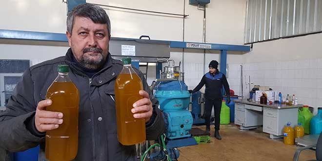 Zeytinyağı fiyatları düşüşte