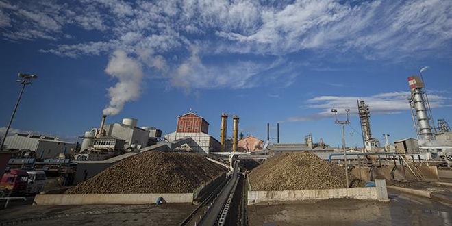Kayseri'deki şeker fabrikalarından istihdama katkı
