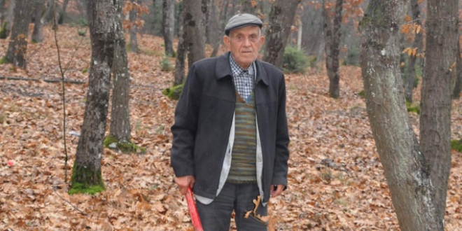 'Orman askeri' 94 ya��nda hala ormanlar� koruyor