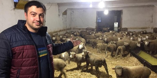 Herkes bu kuzuların peşinde