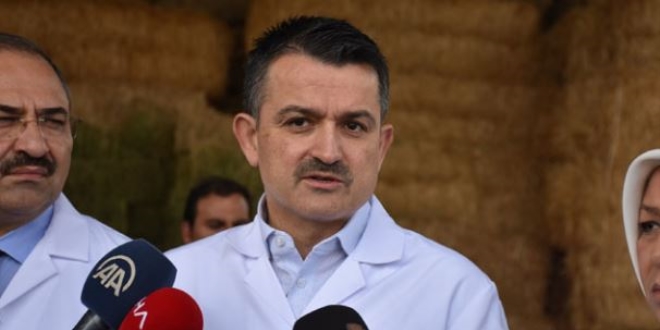 Pakdemirli: CHP safsata siyaseti üzerinden iş yapıyor