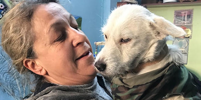 500 TL bulunamazsa �lecekti, Valilik sahip ��kt�