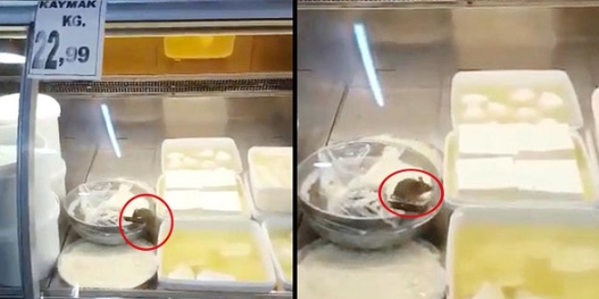 Şarküteri dolabında fare şoku