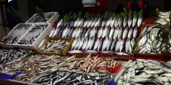 Balık fiyatları yükselişe geçti