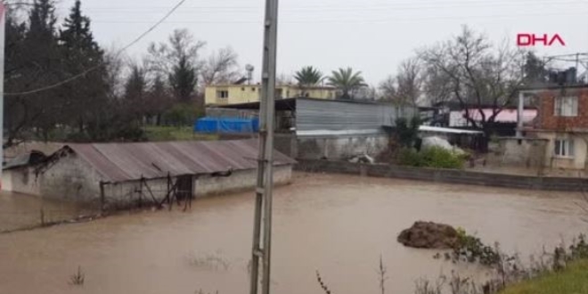 Ceyhan Nehri taştı ev, tarla ve bahçeleri su bastı