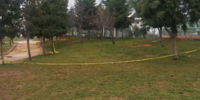 Parkta toprağa gömülü cenin bulundu