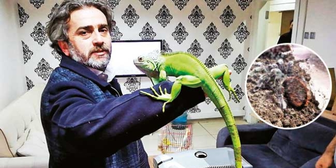 Tarantula çetesi çöktü