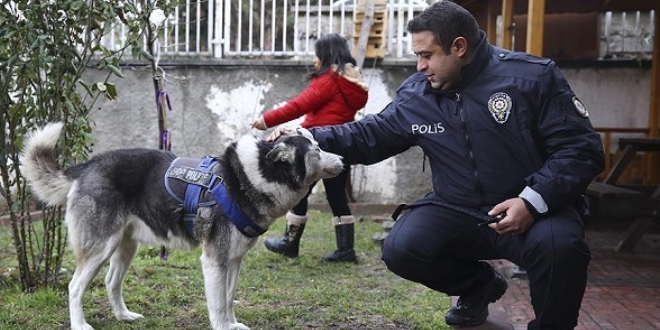 Sokak hayvanlarına sahip çıkan karakol