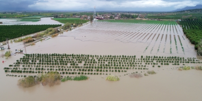 Seyhan Nehri'nin debisi yükselince tarlaları su bastı