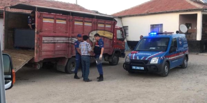 Hemşire tartıştığı nişanlısını av tüfeği ile öldürdü