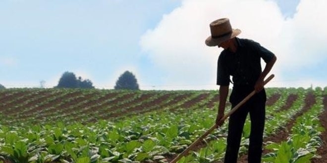 Islahçı hakkı gelirleri çiftçilere verilmeli!