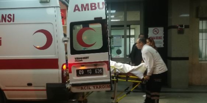 Aydın'da damat dehşeti