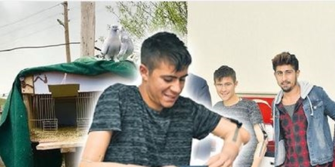 Güvercini kurtarmak isteyen genç artık annesinin kanatlı kuşu