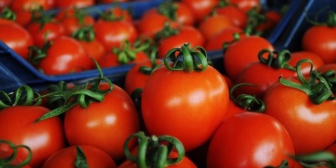 Rusya, Türkiye'nin domates kotası artırdı