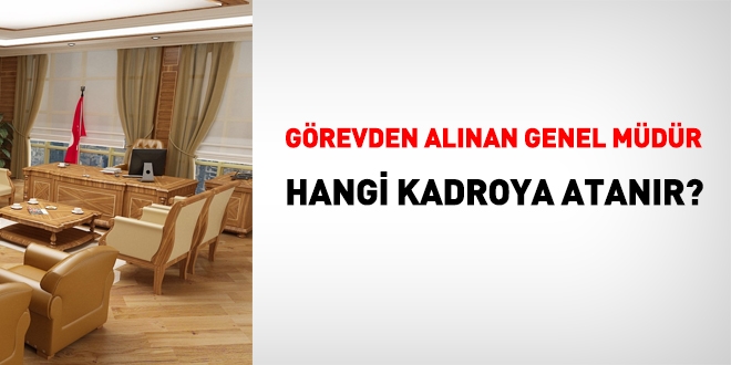 Görevden alınan Genel Müdür, hangi kadroya atanır?