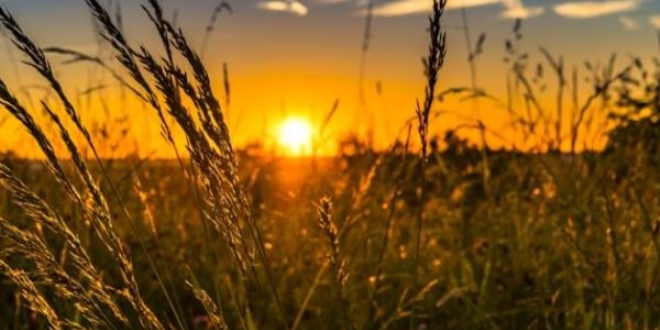 Tarım Kredi'den 'faizsiz üretim' modeli