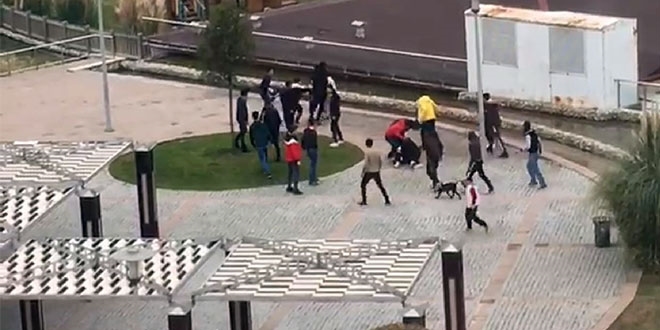 Liselilerin köpekli kavgası!