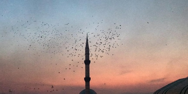Şanlıurfa semalarına 'güvercin döküldü'