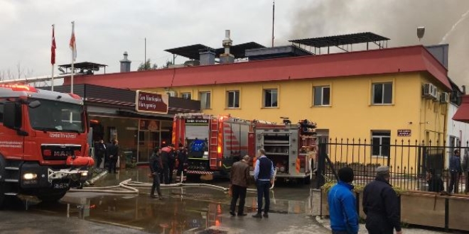 Yanan kuruyemiş fabrikasında zarar 5 milyon TL
