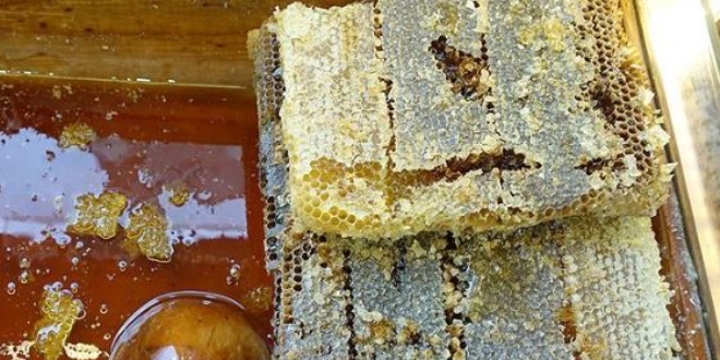 Trk bal 48 lkede azlar tatlandrd