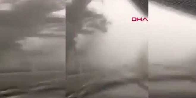 Antalya'da fırtına ağaçları devirdi 1 araç altında kaldı