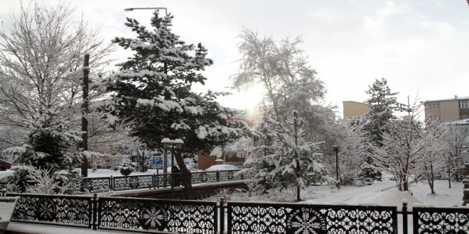Ardahan'da kış ortasında bahar yaşandı
