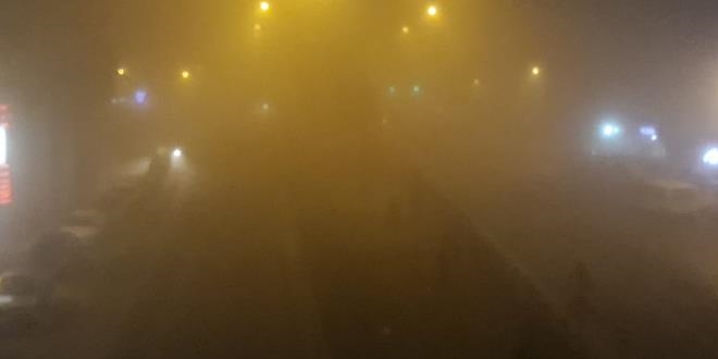 Viranşehir'de yoğun sis etkili oldu