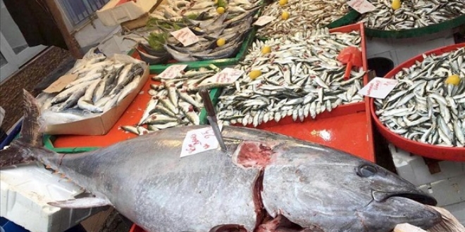 150 kilogramlk orkinos aa takld