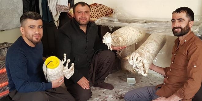 3 arkadaş hobi amaçlı başladı! Sınırda satışa sunulacak