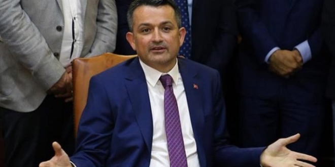 'Pet shoplarda bundan sonra kedi köpek satılmayacak'