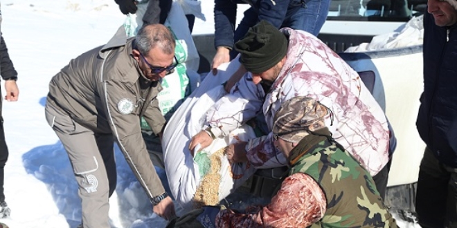 Avcılar 8 ton yemi keklikler için doğaya bıraktı