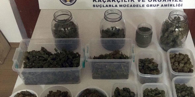 Durdurulan otomobilden kobra zehri çıktı!