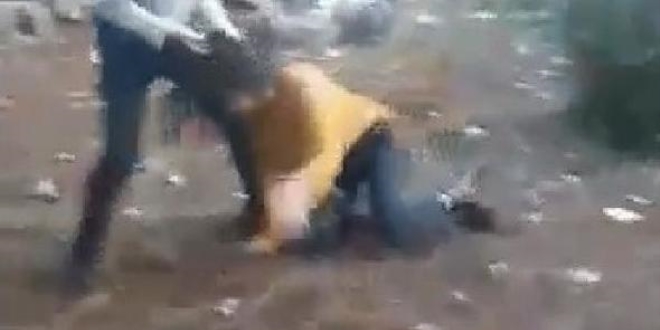 Antalya'da ormanda gen kza 'ikence'ye soruturma