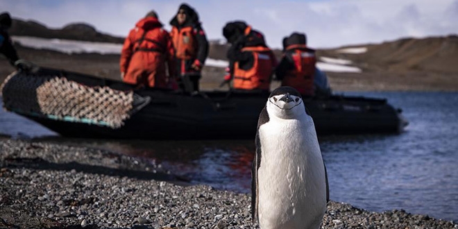Trk ekibi Antarktika'ya ayak bast