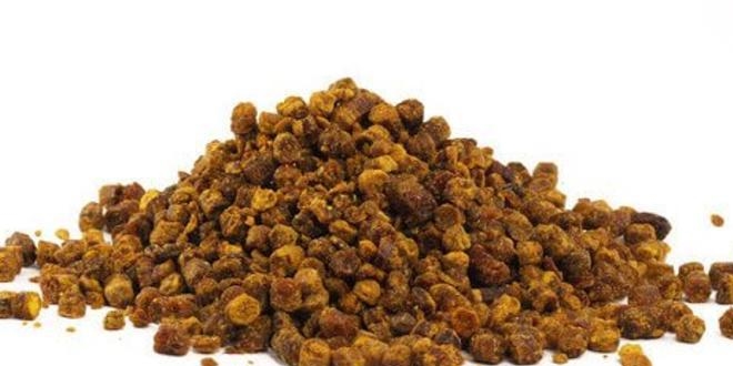 Uzmanından antibiyotik yerine propolis önerisi