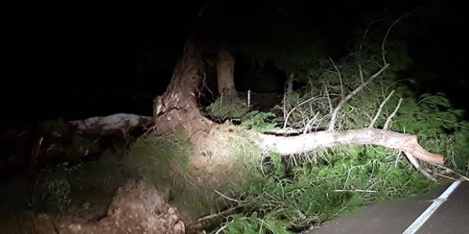 Mula'da kuvvetli rzgar etkili oldu